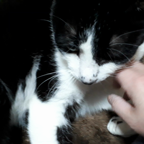 らくろの病院の画像