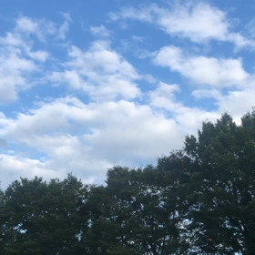 なつこい2019 -蜻蛉・蜻蛉・蜻蛉-。の画像