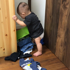 見つかっちゃった！！の画像