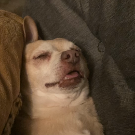 もう1人のジジイの画像