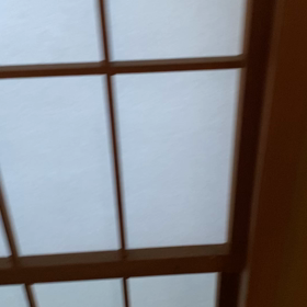 ウヴドの森で迷うの画像