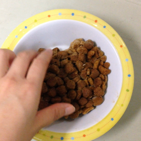 フローズンフードの画像