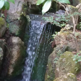 おもしろい！と思って自然の中にいってみたら。の画像