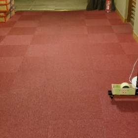 鳴き声！？☆の画像