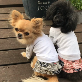 海と苺で！の画像