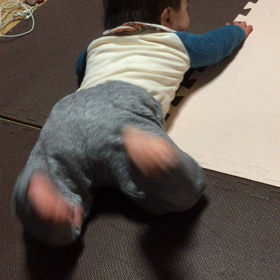 ♪あんよまでの道のり♪の画像