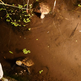 寒空の下でもの画像
