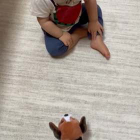 （1y0m11d）大好きなはずのワンワンとお熱の画像