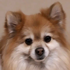 メッセージ♪の画像