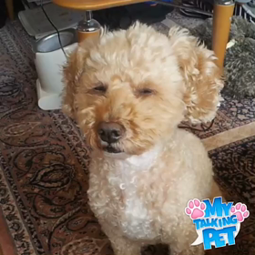 大好きなピースに会わせてくれてありがとう♥︎の画像