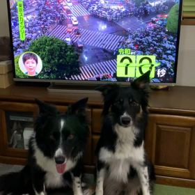 新しい時代？の画像