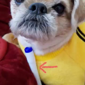 インフルエンザ対策の画像