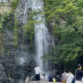 久しぶりの滝の画像