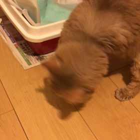 のじるのやめてー（汗）の画像