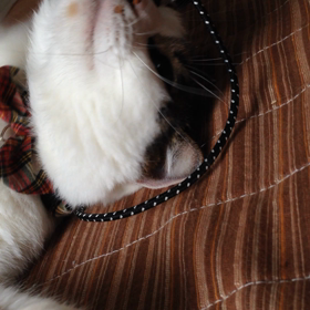 引っ張られる〜の画像