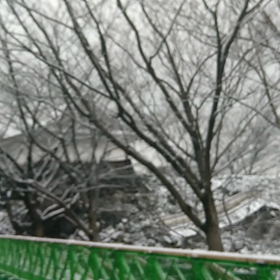 雪景色の画像