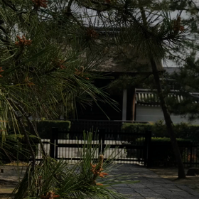 臨済宗大本山「妙心寺」の画像