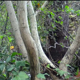 すぎぴたんの事件簿シーズン２　２８話の画像