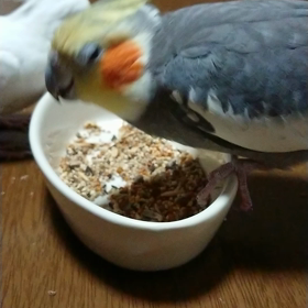 仲良くねの画像