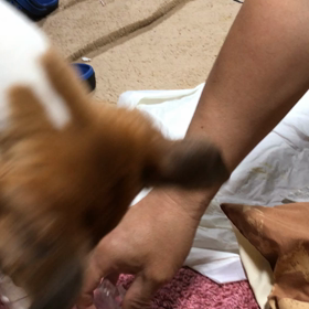 栃のお気に入りの画像