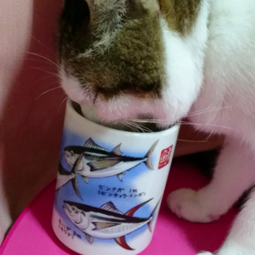 みゅうちゃんの画像