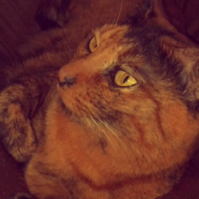 test test！の画像