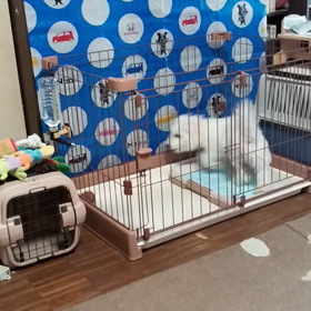 1ヵ月経ったのの画像