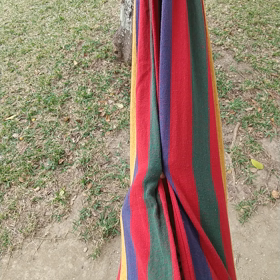 ハンモック。の画像