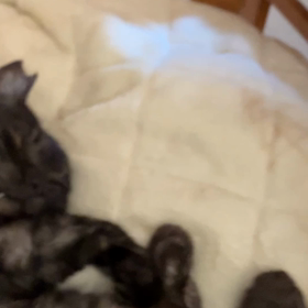 白目は安心のあかしの画像