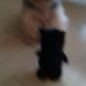 これ笑えるの画像