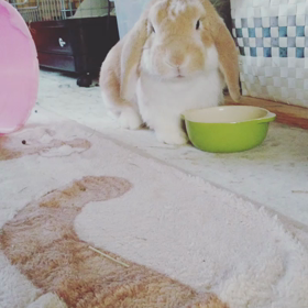 健康が１番の画像