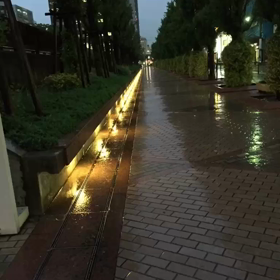 たいふうのよるの画像