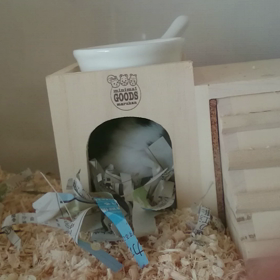 決定的瞬間の画像