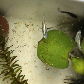 晩ごはんタイム ⏱の画像