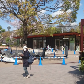 おはようございます❗の画像