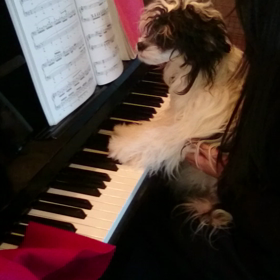 ライちゃん、ピアニストになる！？の画像