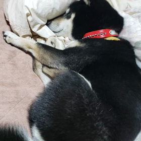 あ、気がついた⁉️の画像