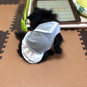 2019年2月13日  着せルナの画像