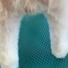 病気があってもの画像