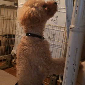 土用丑の日★ウナギルイくんの画像