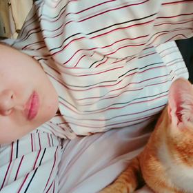 毎日ポカポカの画像