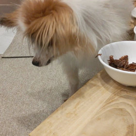 にももんの話　その２の画像