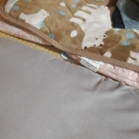 やっちん育児オリジナルソング３曲←注　音痴ですの画像