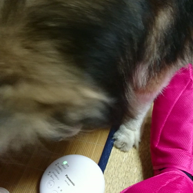 音が気になるの画像