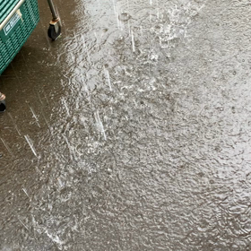 ぎゃーーの画像