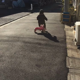 ♪三輪車♪の画像