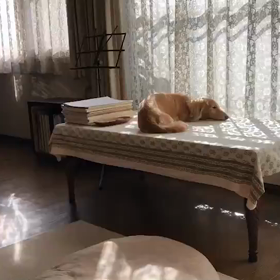 発表会前レッスンの傍らでの画像