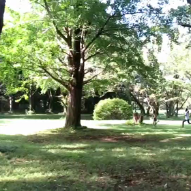 9月5日 400インターバル中間点③の画像