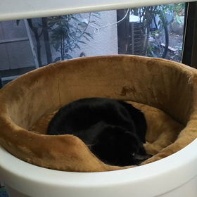 明日は楽しみな…(*´ω｀*)の画像