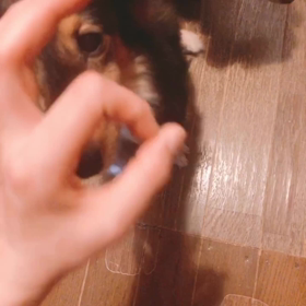 出来た！出来た！！の画像